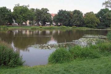 m_csm_arthur-bretschneider-park_98b9dbb3a6-3 BGL Nachbarschaftshilfeverein - Termine & Veranstaltungen - Winterspaziergang im Eutritzscher- Arthur- Bretschneider- Park