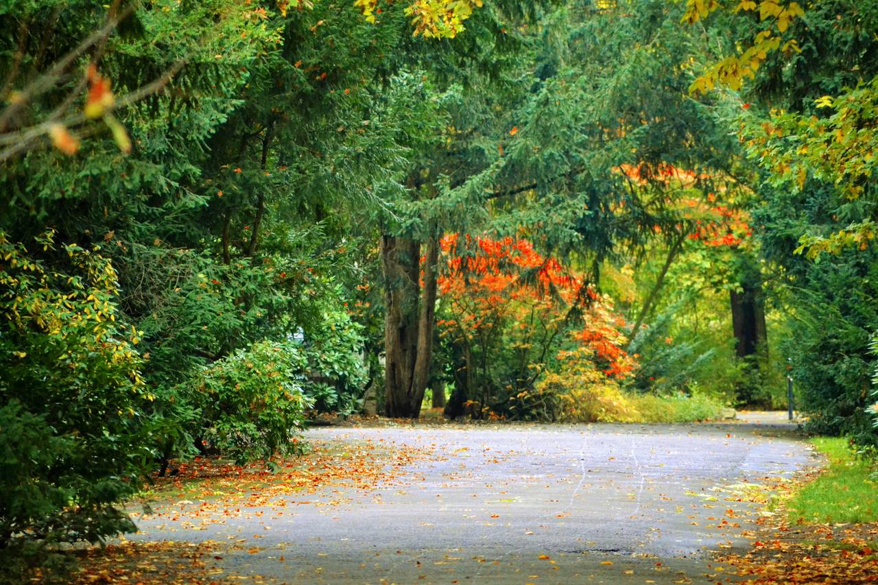 m_herbst-im-clarapark-1 BGL Nachbarschaftshilfeverein - Termine & Veranstaltungen - Herbstlicher Johanna- Clarapark