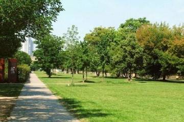 m_lene-voigt-park BGL Nachbarschaftshilfeverein - Termine & Veranstaltungen - Spaziergang im Lene- Voigt- Park