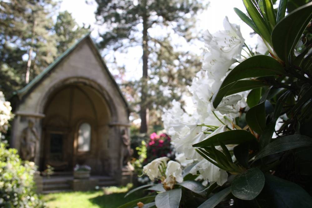 m_suedfriedhof_grablege BGL Nachbarschaftshilfeverein - Termine & Veranstaltungen - Spaziergang auf dem Südfriedhof zur Rhododendronblüte
