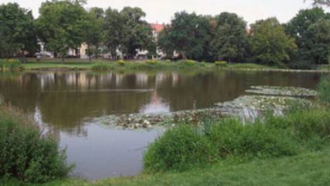 s_csm_arthur-bretschneider-park_98b9dbb3a6-3 BGL Nachbarschaftshilfeverein - Start