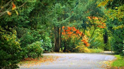 s_herbst-im-clarapark-1 BGL Nachbarschaftshilfeverein - Start