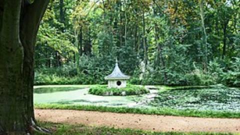 s_luetzschenarosenteich-1 BGL Nachbarschaftshilfeverein - Start